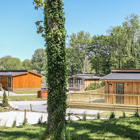 Squirrel Lodge Скиптън Екстериор снимка